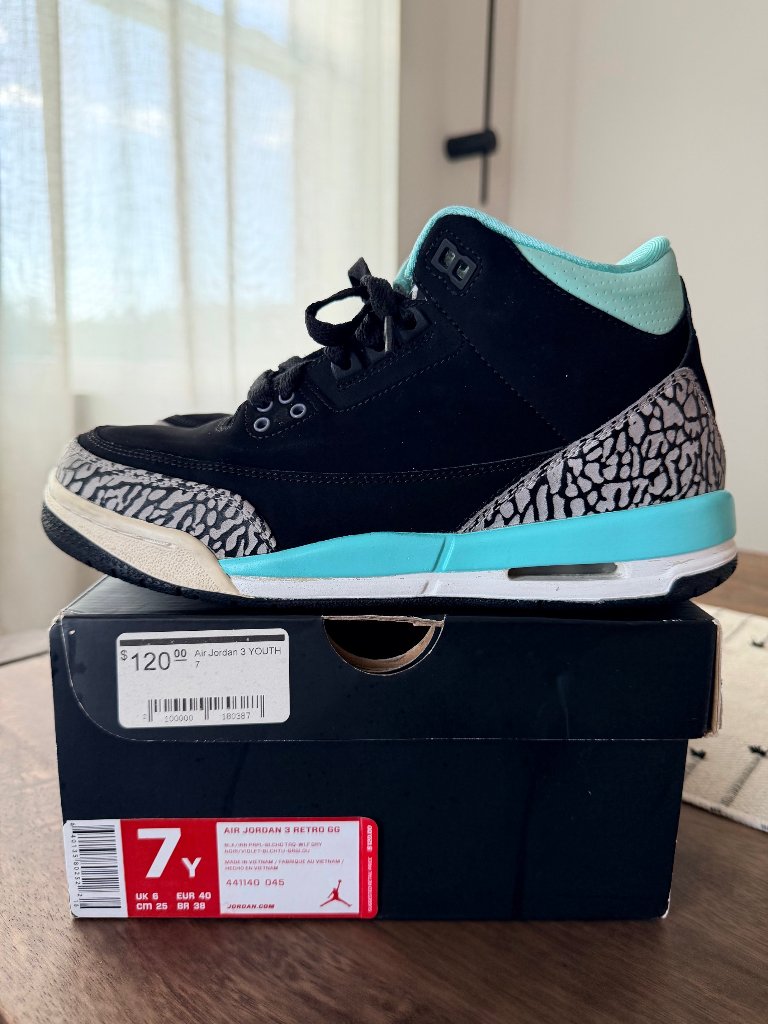 Nike Air Jordan 3 Retro Gg Youth Size 7 Black Aqua Elephant Print Sneakers